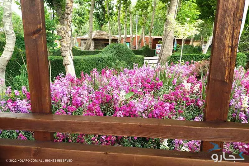 گل های رنگارنگ در حصار چوبی باغ گل های چمران کرج