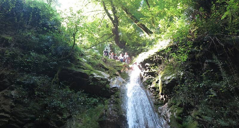 آبشار ولیلا در شیب جنگلی بین درختان سرسبز