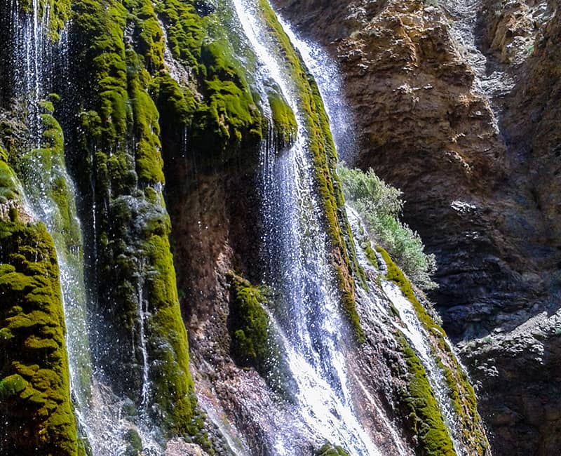 آبشاری وسیع در میان صخره ای مملو از خزه