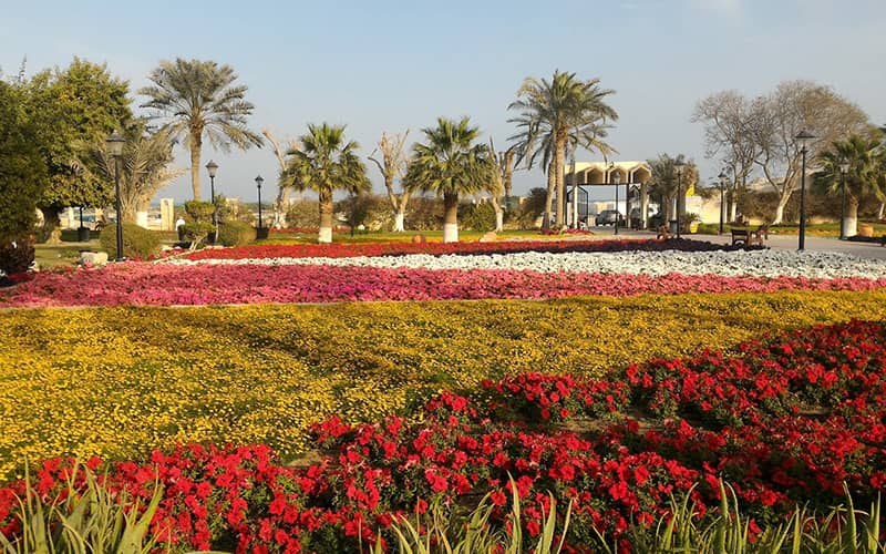 پارکی با چندین درخت نخل و محوطه ای مملو از گل قرمز
