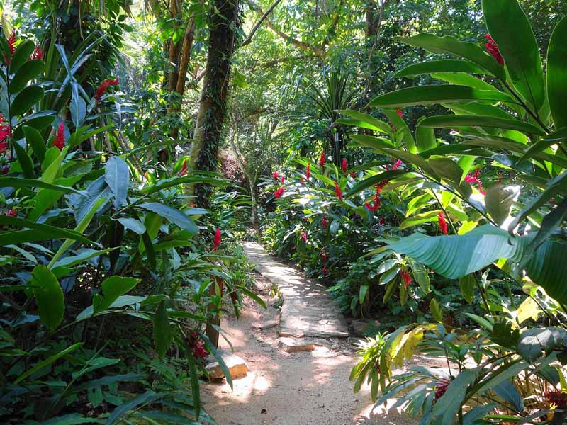 باغ گیاه‌شناسی کرامبولا هندوراس