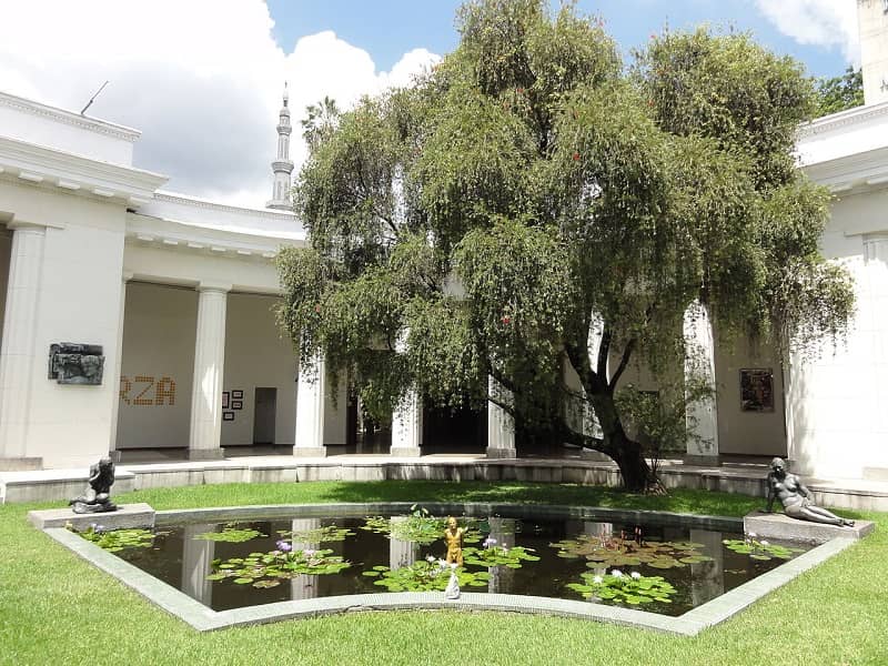 موزه هنرهای زیبا کاراکاس