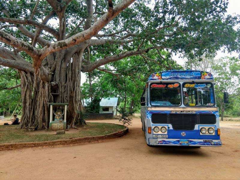 سفر با اتوبوس در سریلانکا