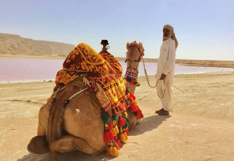 شتر سواری در کنار تالاب لیپار