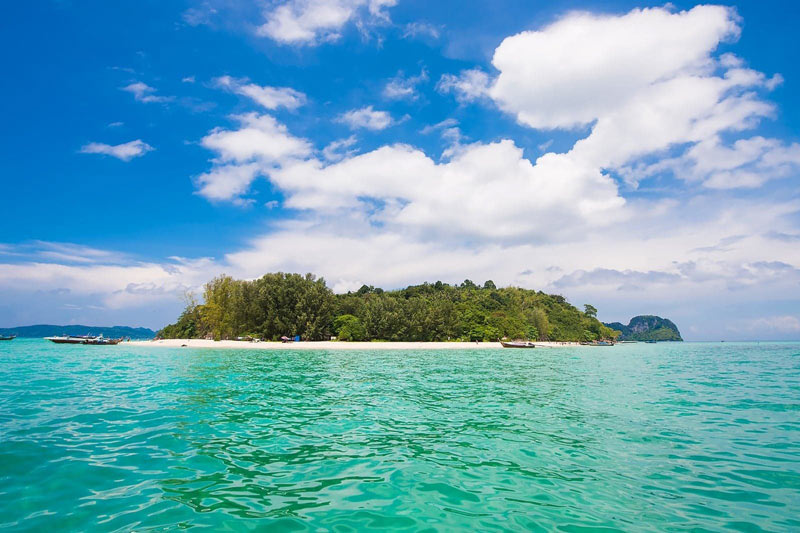 جزیره بامبو در فی فی