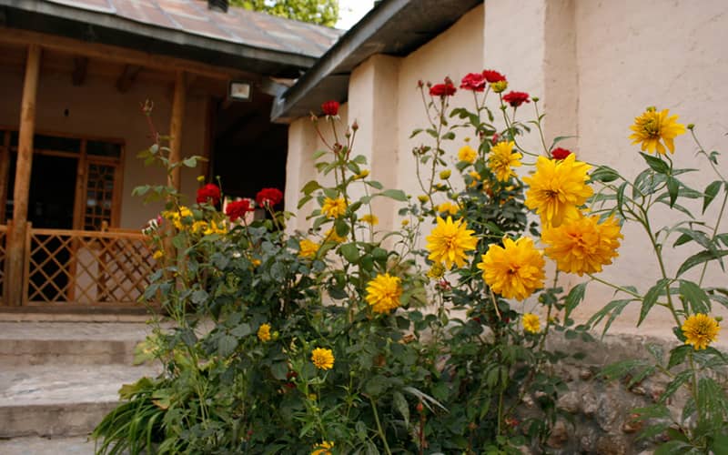 باغچه گل در حیاط خانه ای قدیمی