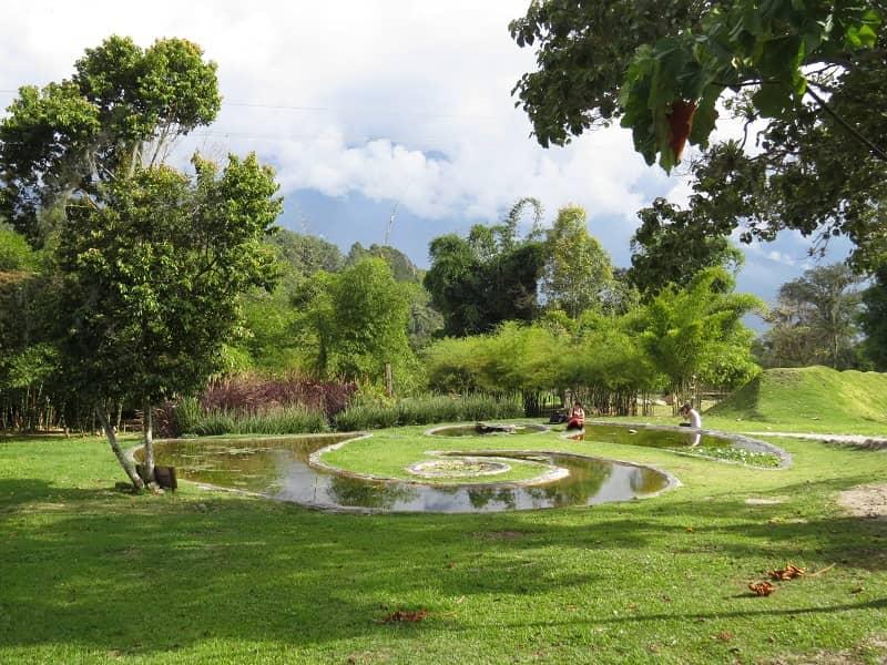 باغ گیاه‌شناسی مریدا