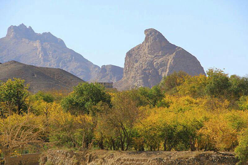 چشم انداز کوه عقاب از روستای فراشاه یزد میان درختان سرسبز