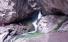 آبشار کرکبود طالقان