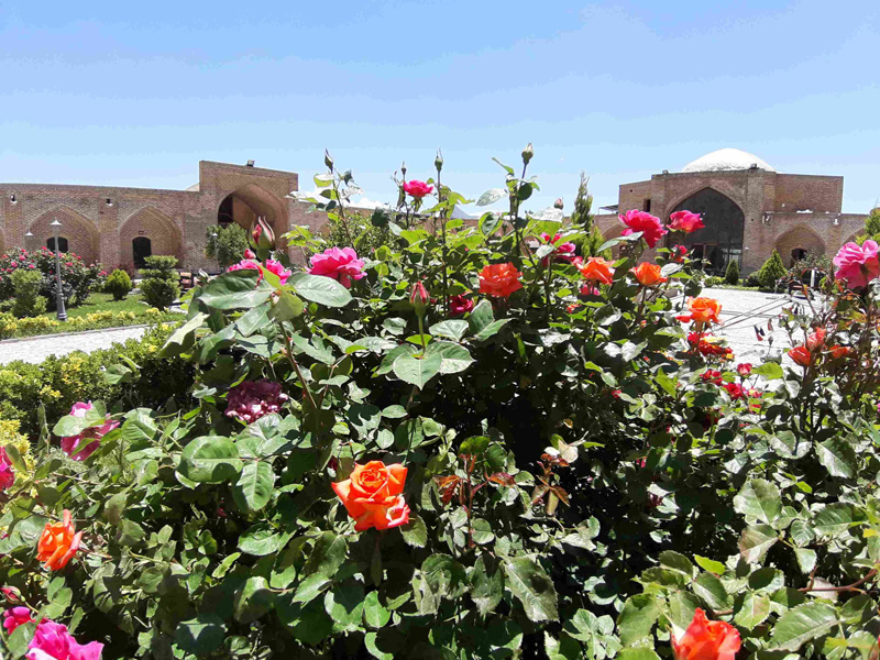 گل‌های کاروانسرای شاه عباسی بیستون