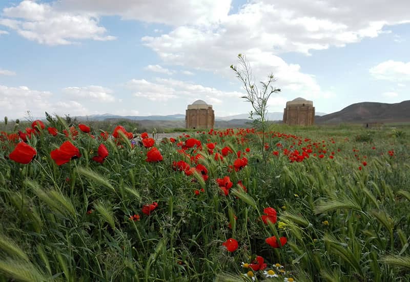 دو برج تاریخی در منطقه ای سرسبز با گلهای قرمز