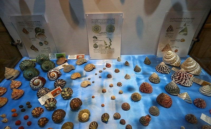 موزه صدف ناژوان اصفهان