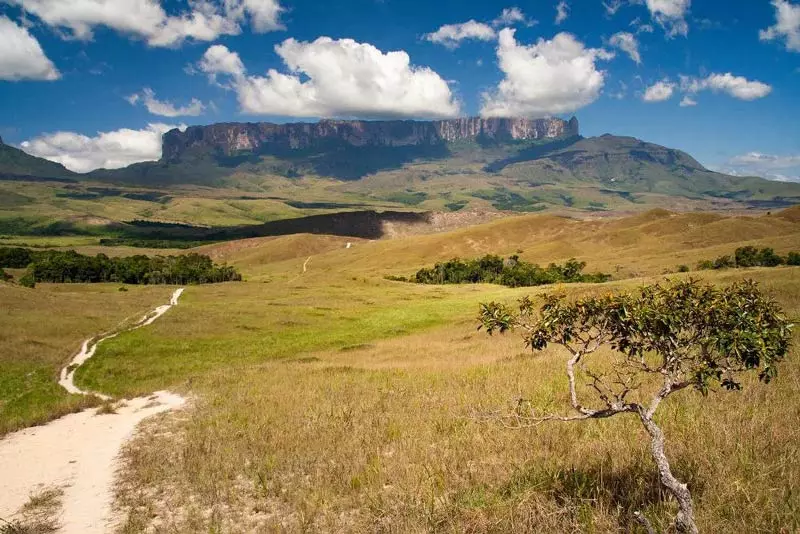 پارک‌های ملی ونزوئلا