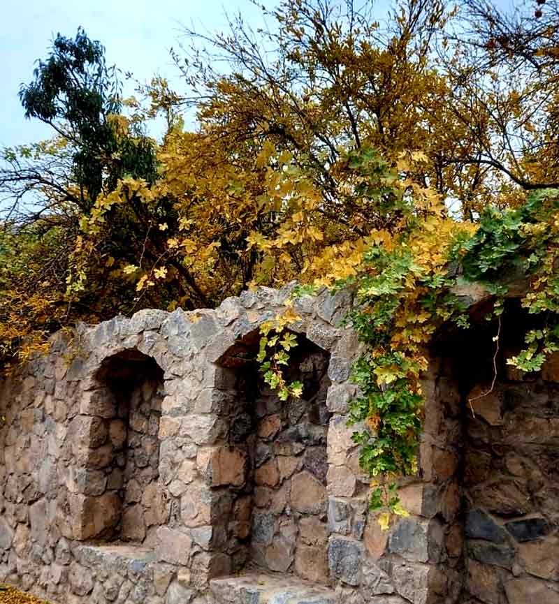 دیوارهای سنگچین میان درختان پاییزی در روستای اسلامیه یزد