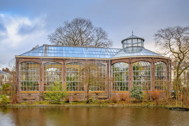 باغ گیاه‌شناسی آمستردام