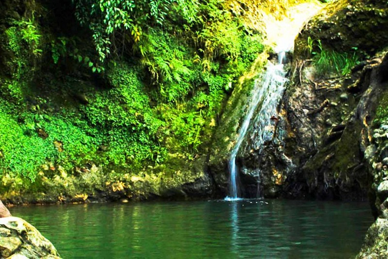 جنگل و آبشار زیبای پلنگ‌دره در شیرگاه