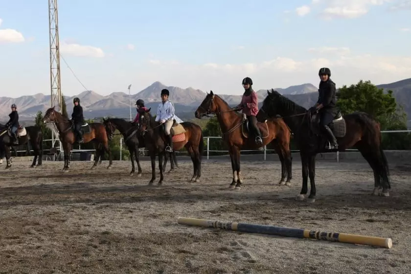 باشگاه‌های اسب سواری تهران | آموزشی و تفریحی + قیمت و عکس