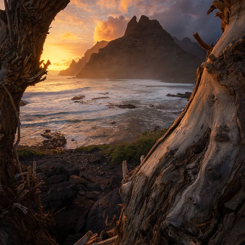 غروب خورشید در ساحلی صخره ای و دارای درخت