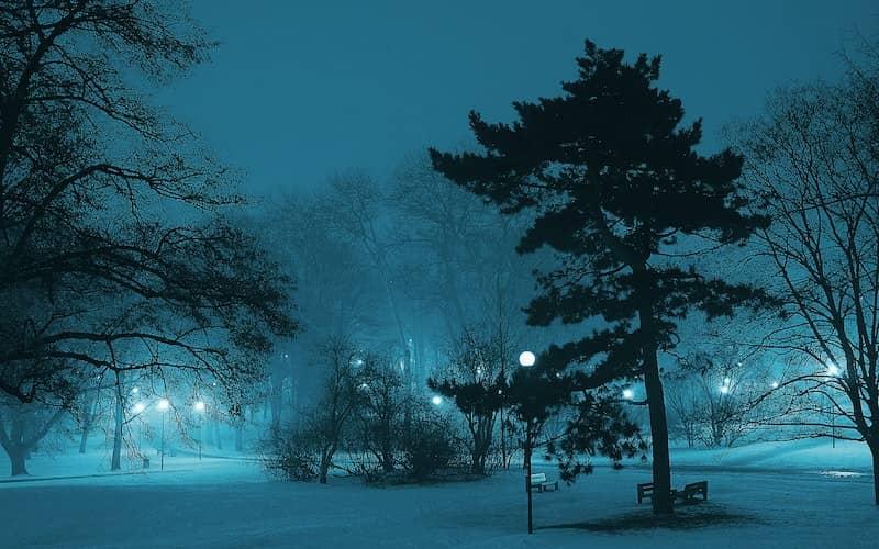 عکس برف در شب در یک پارک