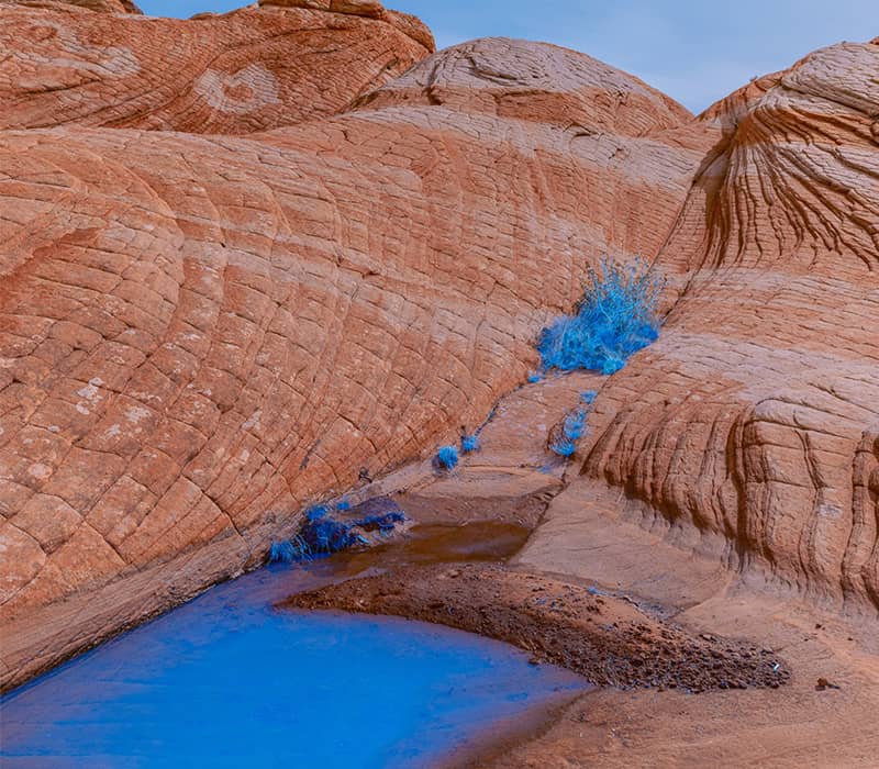 گیاهان و جریان آب آبی رنگ در میان صخره ها