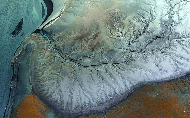 عکس هوایی از جریان رودخانه در کویر به شکل درخت