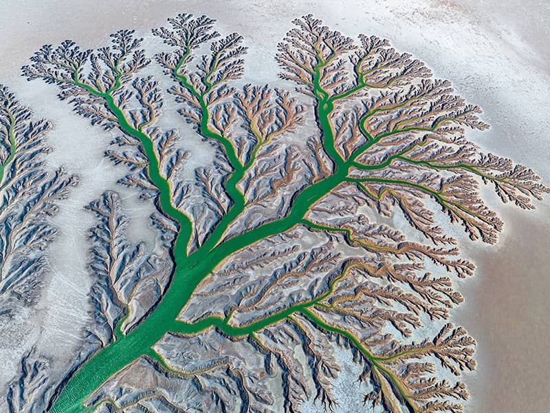 تصویر جریان رودخانه در کویر به شکل درخت