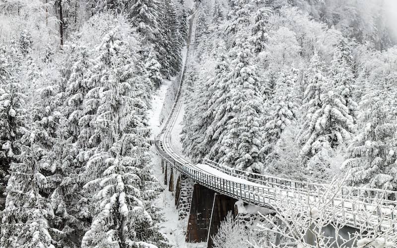 عبور خط راه آهن از میان جنگلی سفیدپوش در زمستان