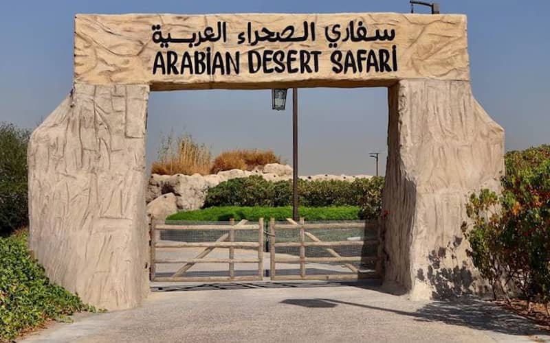 ورودی سافاری صحرای عربستان