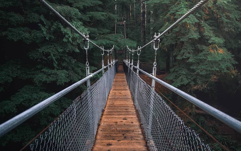  پلی چوبی در جنگل
