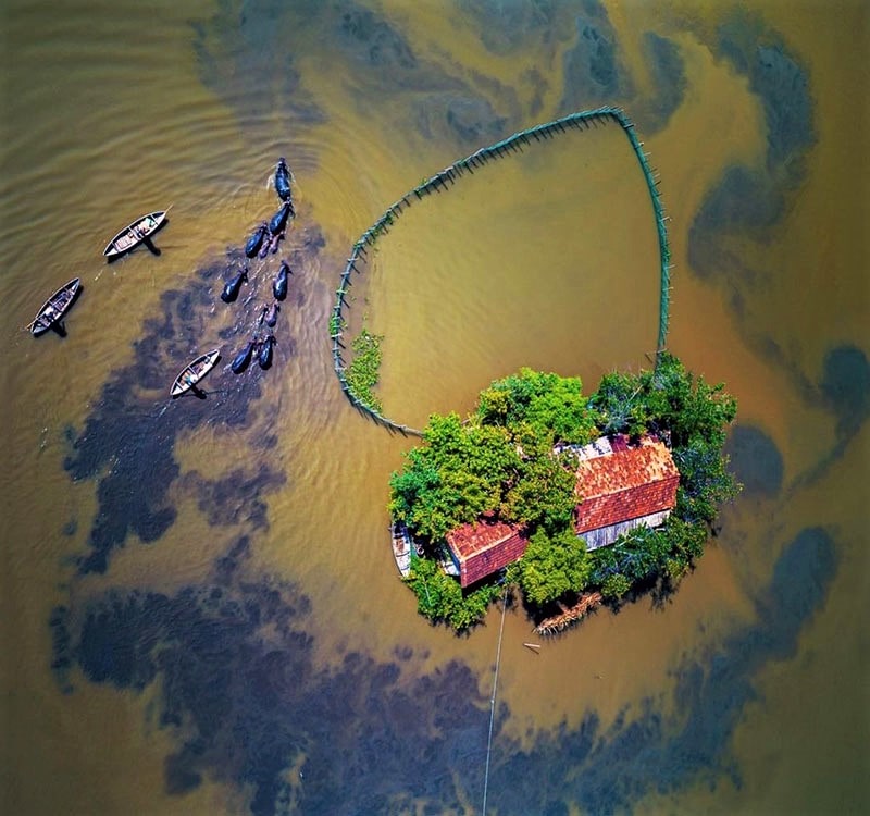 عکس هوایی از دو خانه در وسط آب‌های ویتنام