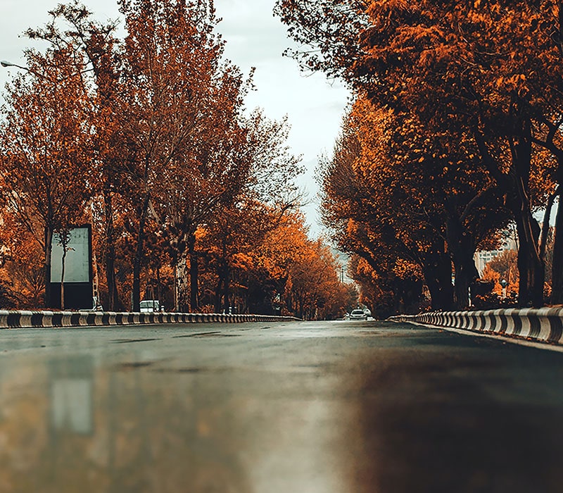 خیابانی با درختان پاییزی در ایران