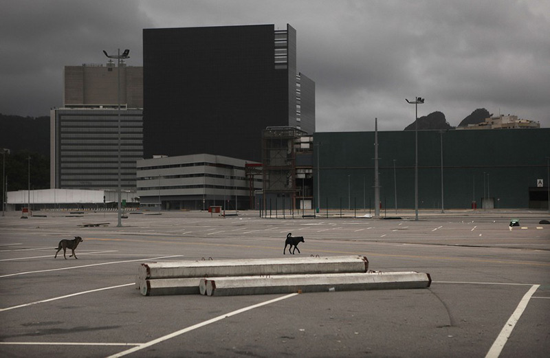 قدم زدن سگ‌ها در مکان رها شده اولین بازی‌های المپیک در آمریکاری جنوبی در برزیل؛ منبع: Getty، عکاس: Mario Tama