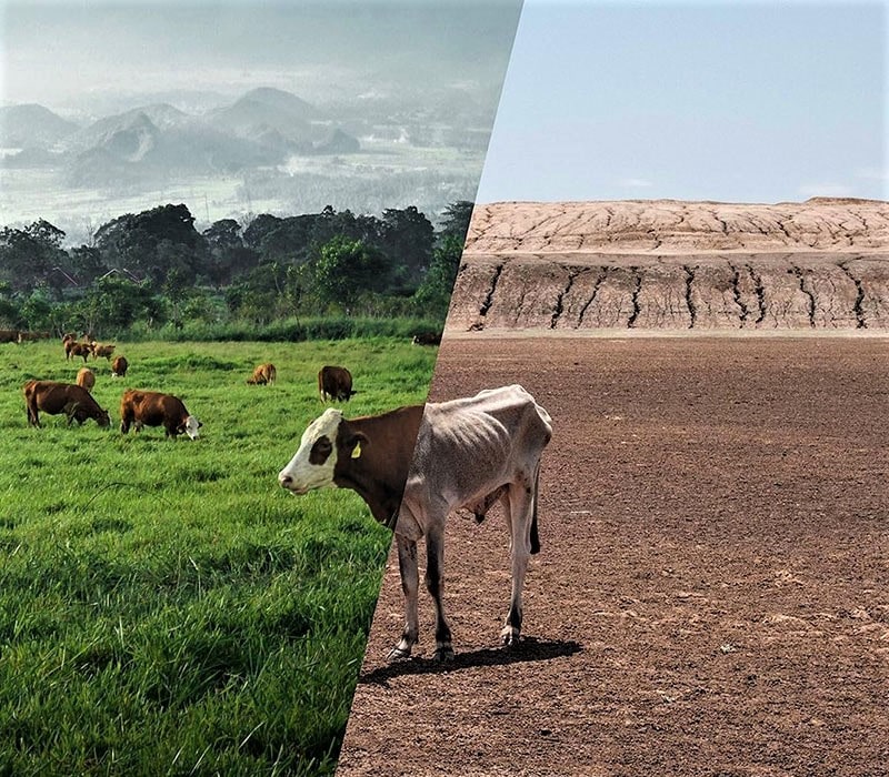 وضعیت خشکسالی و سرسبزی مناطق مختلف دنیا در یک عکس