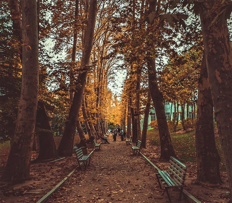 پارکی با درختان پاییزی در تهران