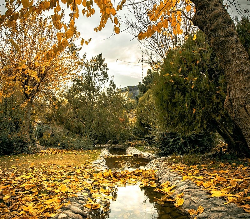 جوی آب در میان درختان پاییزی در تهران