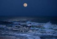 نمایی شبانه از جزیره سیری؛ منبع عکس: گوگل مپ؛ عکاس: علی طاهری