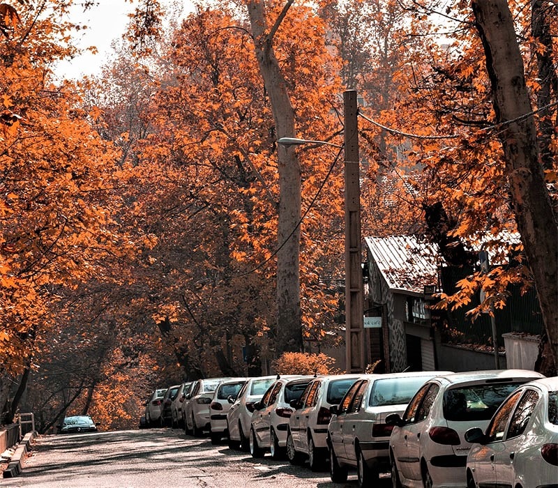 خیابانی با درختان مرتفع پاییزی در تهران