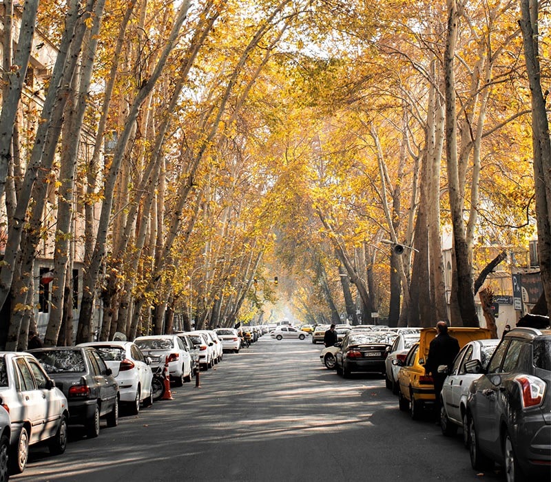حال و هوای پاییز در خیابان خلوتی در تهران