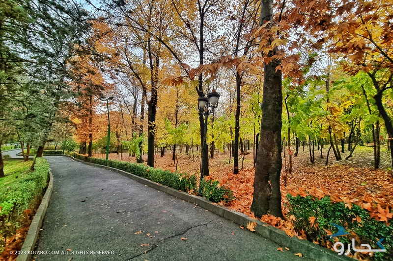 پارک جنگلی در پاییز ایران