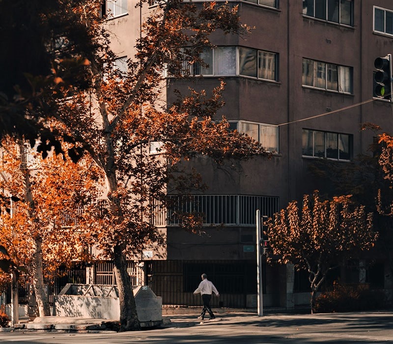 درختان پاییزی در کنار خانه های مسکونی در تهران
