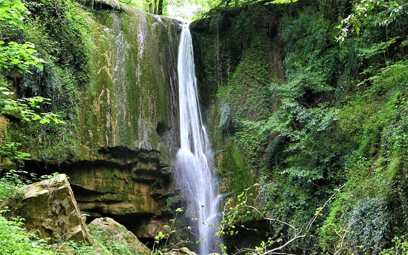 آبشار پرآب در جنگل های هیرکانی، منبع عکس: tehrantimes.com، عکاس: ناشناس