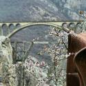 پل ورسک در بهار؛ منبع عکس: گوگل مپ؛ عکاس:حسین وسائلی