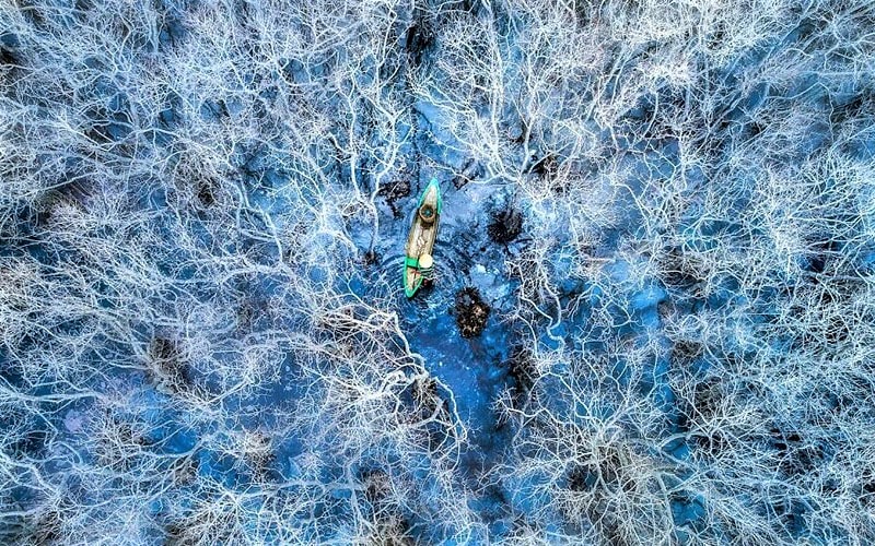 عکس هوایی از قایقی در میان درختان سفید در ویتنام