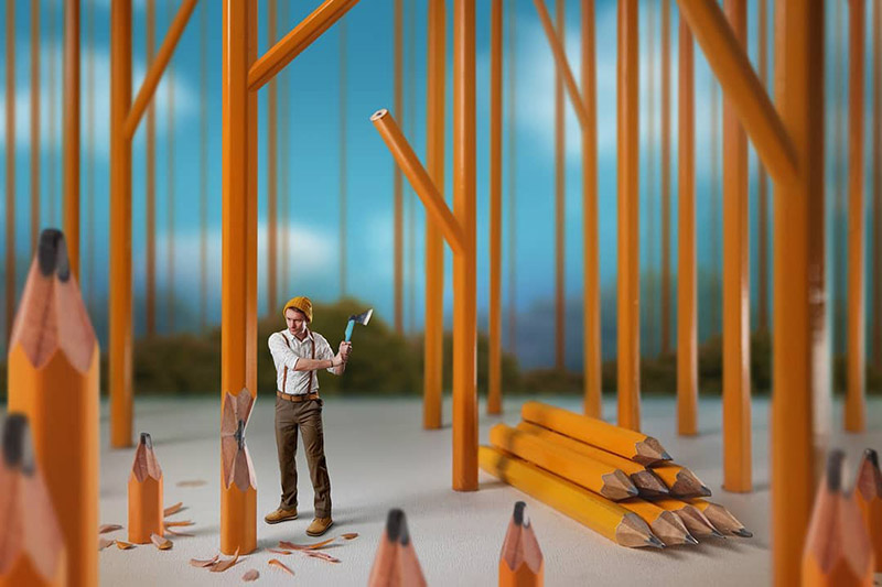 جنگلی که مداد می‌شود؛ اثر Stas Novikov 