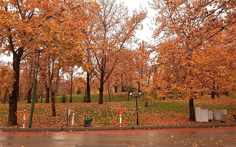پارکی در تهران با درختان پاییزی