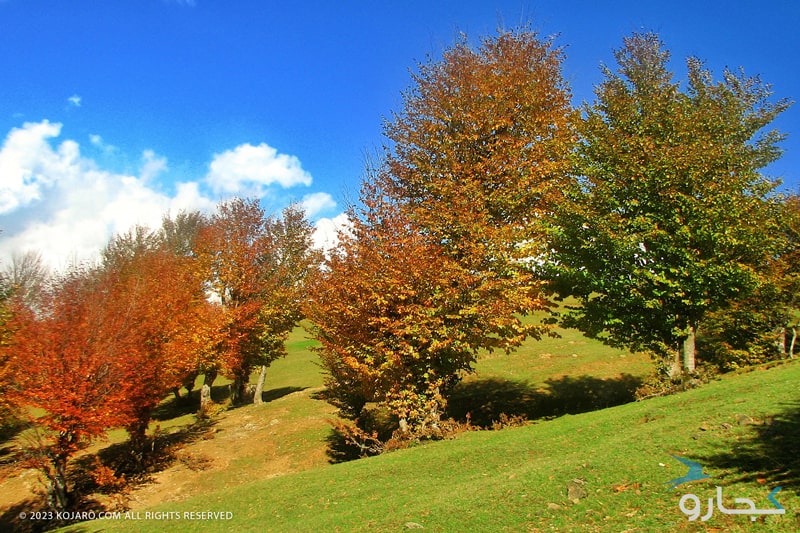 طبیعت رنگی پاییز در ایران