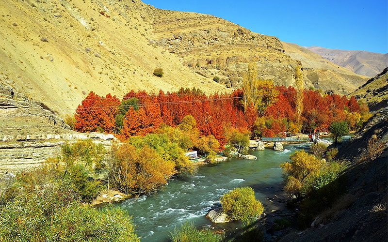 جریان رودخانه از میان درختان پاییزی در ایران