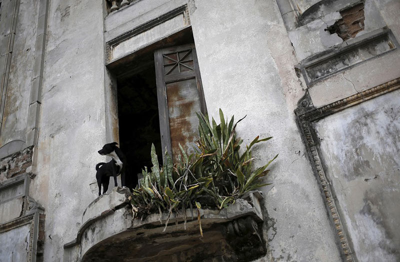 یک سگ کنار پنجره خانه متروکه‌ای در هاوانا، کوبامنبع: Reuters، عکاس: Jonathan Ernst 
