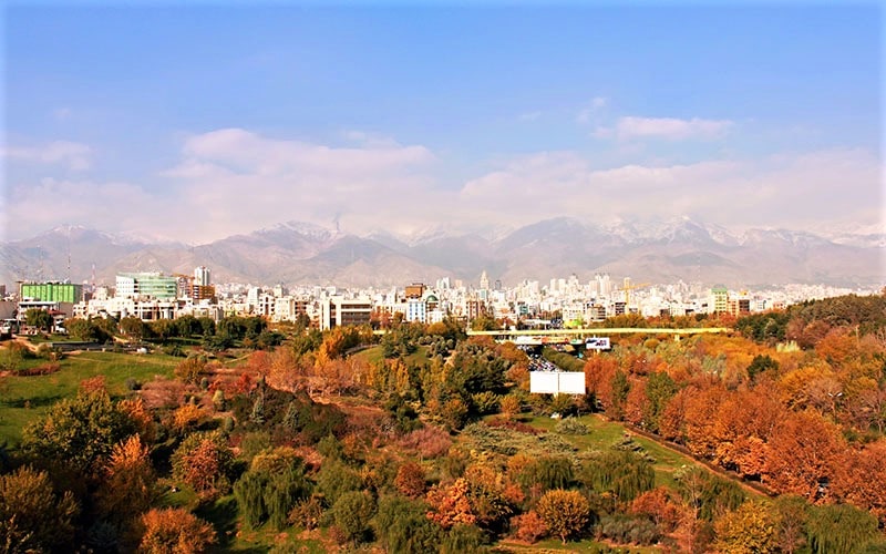 عکس هوایی از درختان پاییزی در تهران
