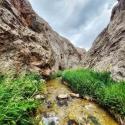 طبیعت زیبای تنگه میشینه مرگ فیروزکوه؛ منبع عکس: گوگل مپ؛ عکاس: ارشیا محلوجیان